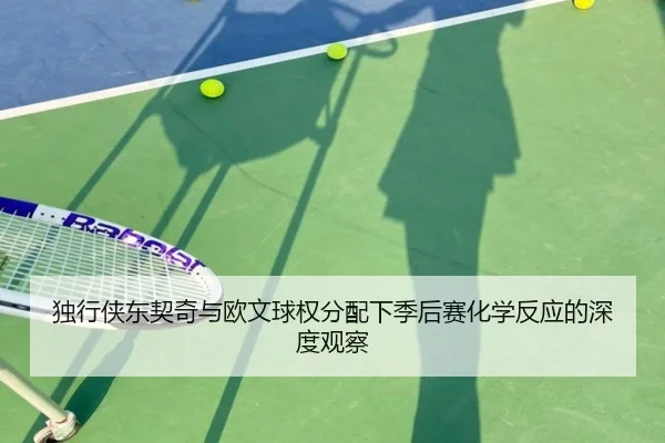 独行侠东契奇与欧文球权分配下季后赛化学反应的深度观察